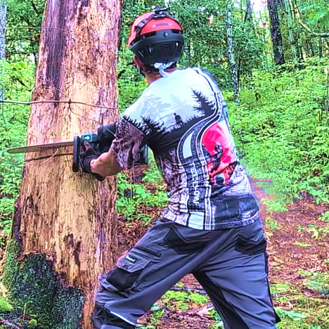 Tree Fellow