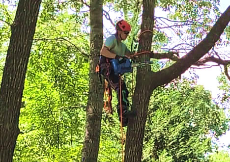 Climber